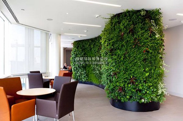 辦公室裝修完以后擺放什么綠植好？